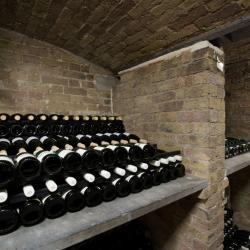 Cellar wine bottles